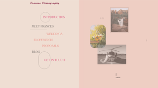 Thumbnail of frances-photography.com