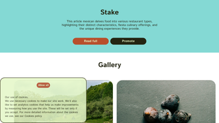 Thumbnail of stake-giveaways.com