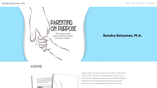 Thumbnail of sandyschumersbook.com