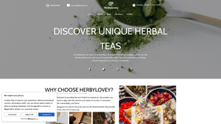 Thumbnail of herbylovey.com