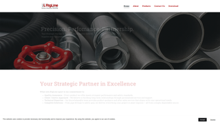 Thumbnail of riglineoilfield.com