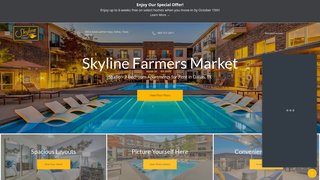 Thumbnail of skylinefarmersmarketapts.com