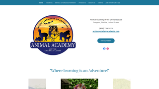 Thumbnail of acadanim.com