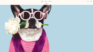 Thumbnail of bellaspetapparelandaccessories.com
