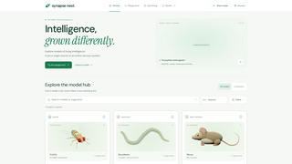Site preview
