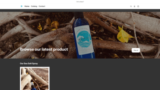 Thumbnail of weareoceanmist.com