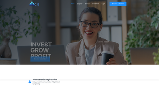 Thumbnail of capital-boosts.net
