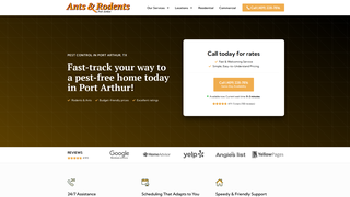 Thumbnail of antsrodentsportarthur.com