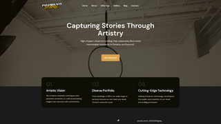 Thumbnail of panamounts.com