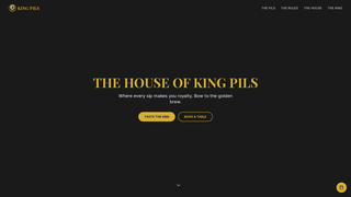 Thumbnail of pilsking.com