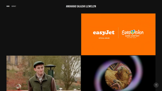 Thumbnail of asllewellyn.com