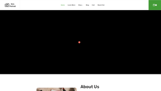 Thumbnail of ezraportrait.com