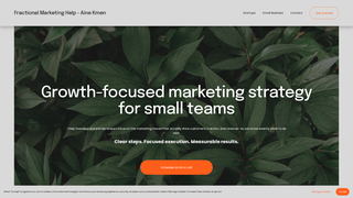 Thumbnail of fractionalmarketinghelp.com