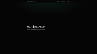 Screenshot of ninjaaexe.com