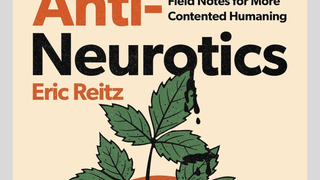 Thumbnail of antineurotics.com