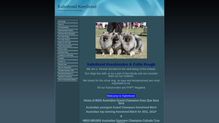 Thumbnail of kahnhond.com
