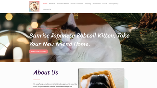 website thumbnail
