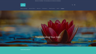 Thumbnail of tranzendant.com