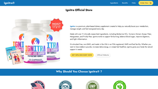 Thumbnail of en-us--ignitra.com
