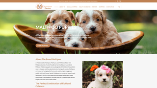 Thumbnail of maltipoohaven.com