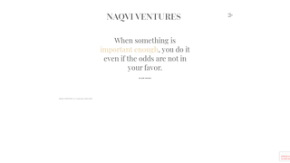 Thumbnail of naqviventures.com