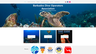 Thumbnail of bdoabarbados.com