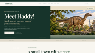 Site preview