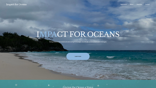 Thumbnail of impactforoceans.org