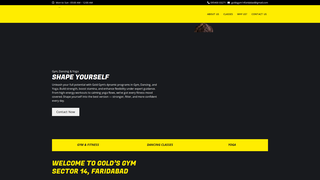Thumbnail of goldsgymsector14faridabad.com