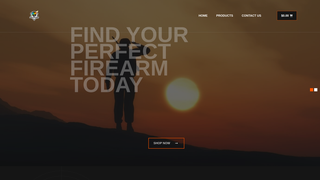 Thumbnail of solidstrategyllc.com