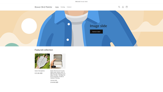 Thumbnail of bowerbirdart.com