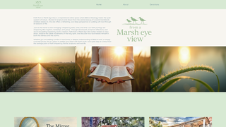 Thumbnail of marsheyeview.com