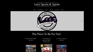 Screenshot of leessportsandspirits.com