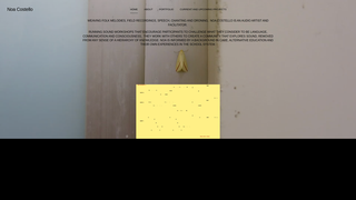 Thumbnail of noacostello.org