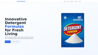 Thumbnail of msinterprise.com