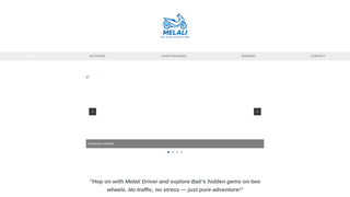 Thumbnail of melalidriver.com
