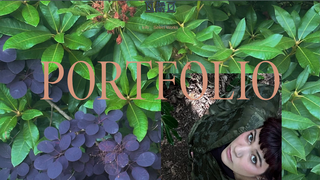Thumbnail of oliviacortez.org