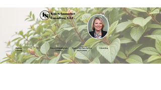 Thumbnail of kimschumacherconsulting.com