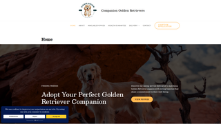 Thumbnail of companiongoldenretrievers.com