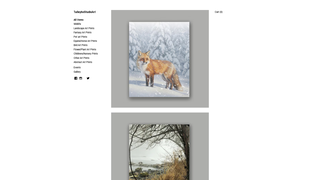Thumbnail of talleyhostudioart.com