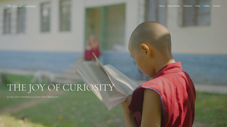 Thumbnail of thejoyofcuriosity.com