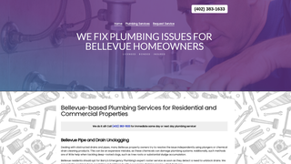 Thumbnail of barrysplumbingbellevue.com