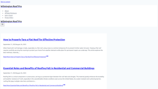 Thumbnail of wilmingtonroofpro.com