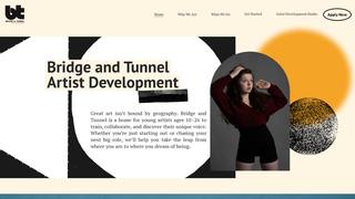 Screenshot of bntartistdev.com