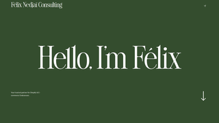 Thumbnail of felixnedjai.com