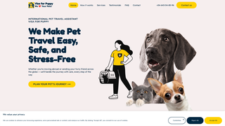 Thumbnail of visaforpuppy.com