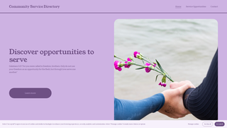 Thumbnail of communityservicedirectory.org