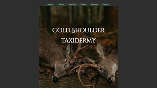 Thumbnail of coldshouldertaxidermy.com
