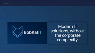 Thumbnail of bobkatit.com