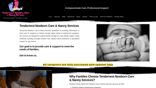 Thumbnail of tendernestnewborncare.com